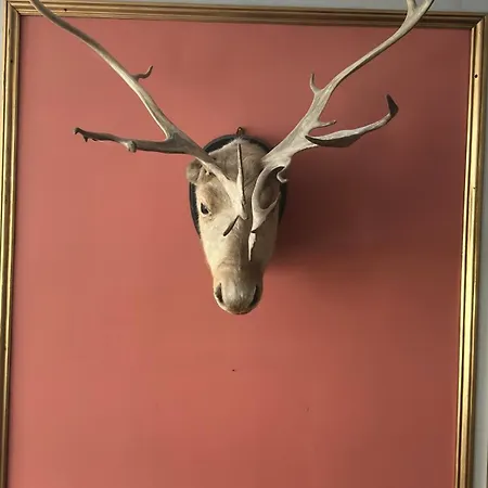 Appartement Historical 2